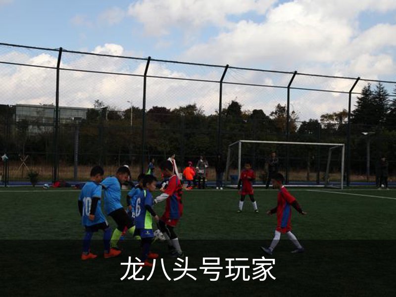 了解龙八头号玩家